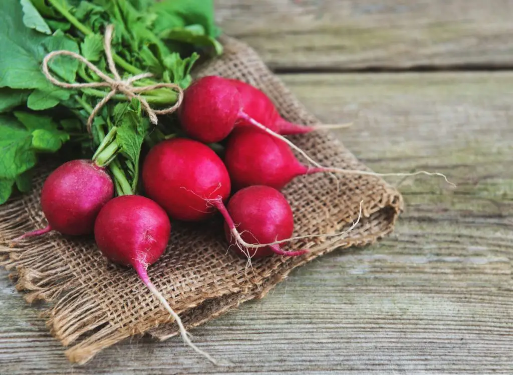 Fall Vegetables To Grow In Pots