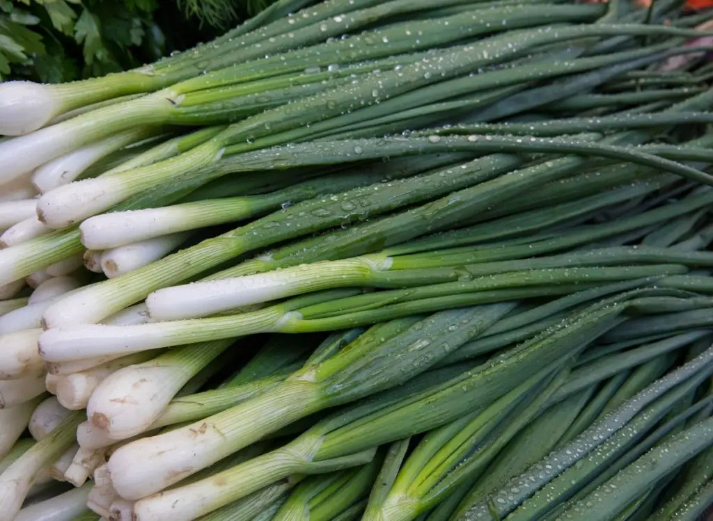 Fall Vegetables To Grow In Pots