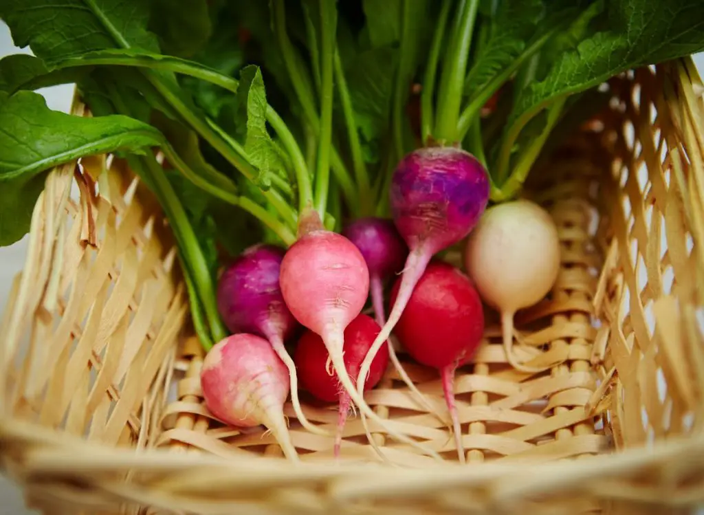 Fall Vegetables To Grow In Pots