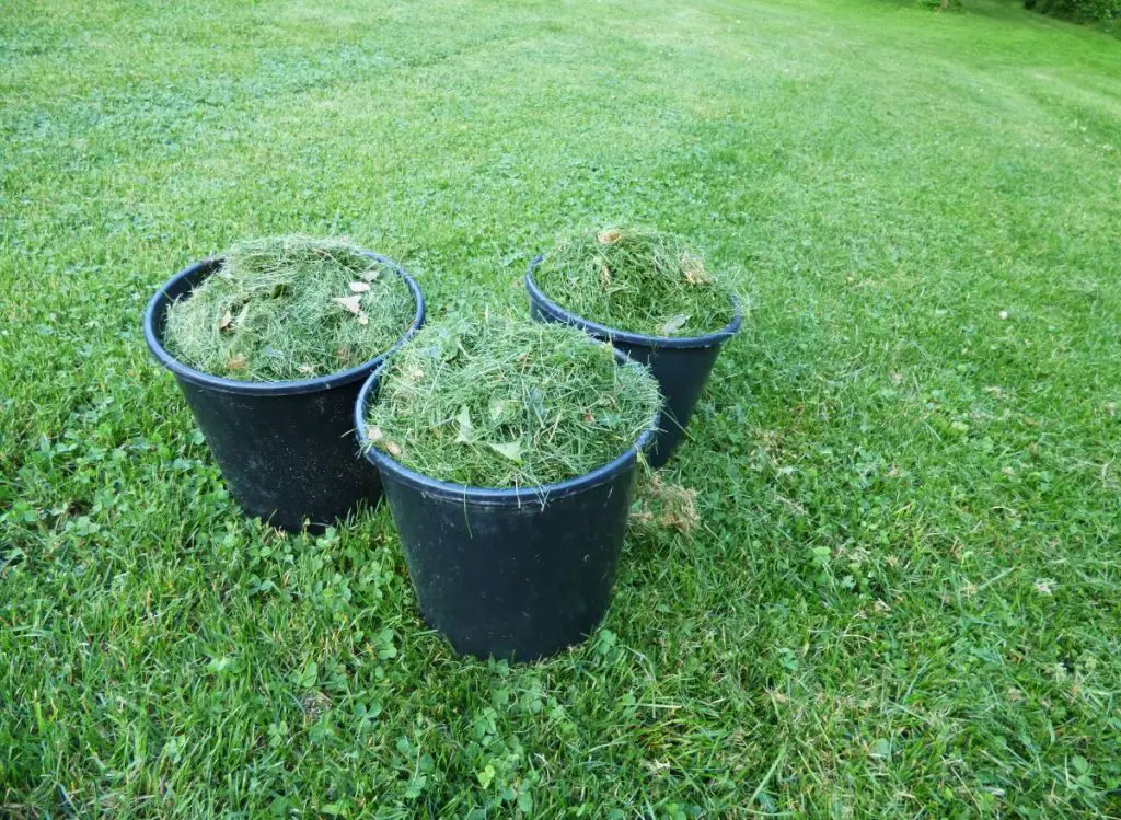 How To Dispose of Grass Clippings