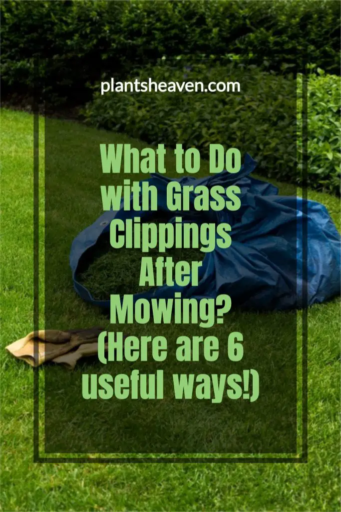 What To Do With Grass Clippings After Mowing? (Here Are 6 Useful Ways