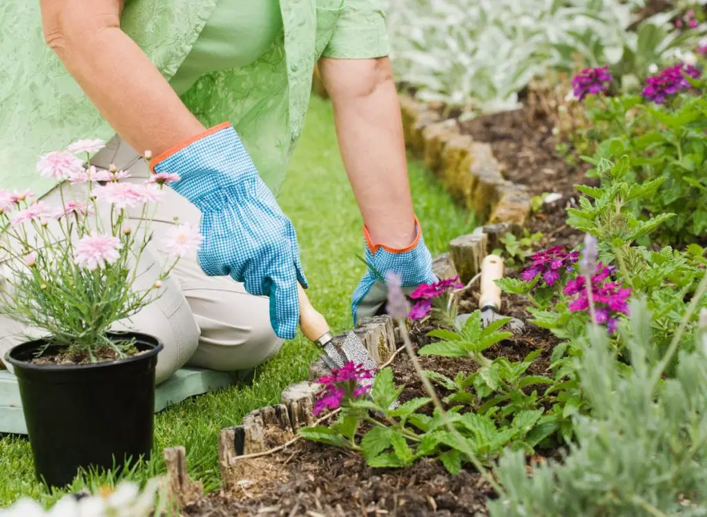 Using Milk In The Garden