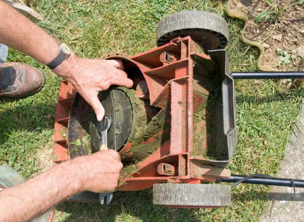 Mulching Blades Vs. High Lift Blades Which Ones Are Better