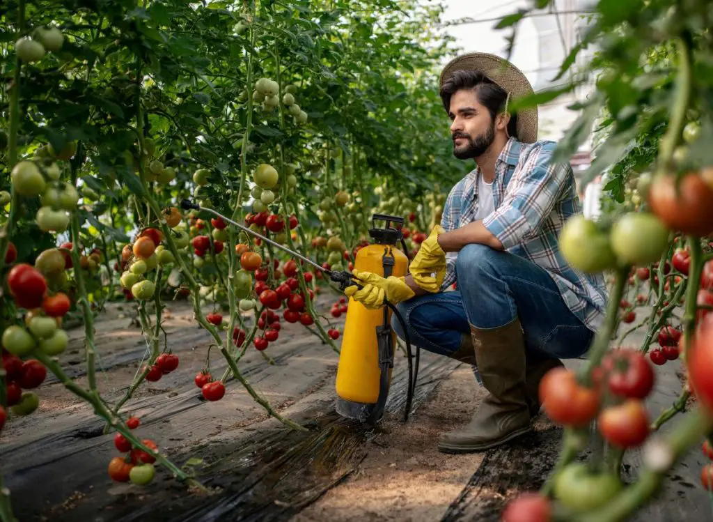 6 Homemade Bug Sprays For Vegetable Plants That Actually Work