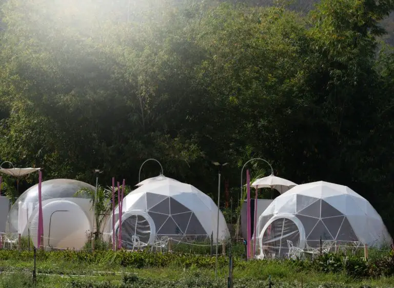 geodesic-dome-vs-greenhouse-how-do-they-differ-and-their-pros-and