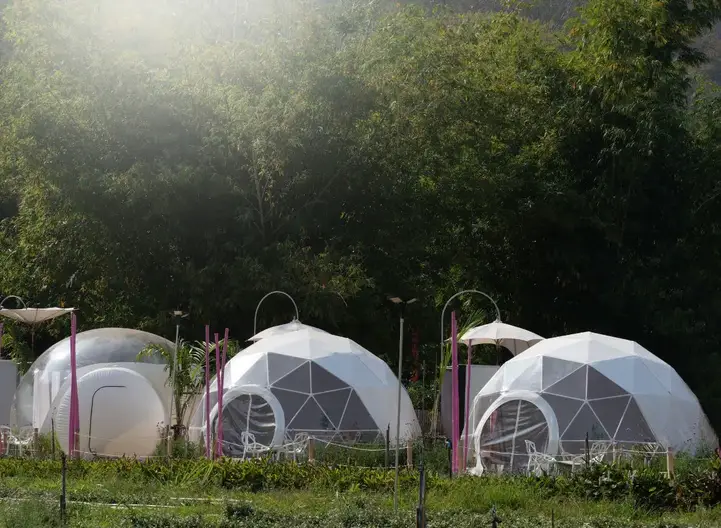 Geodesic Dome Vs. Greenhouse: How do they differ, and their pros and cons