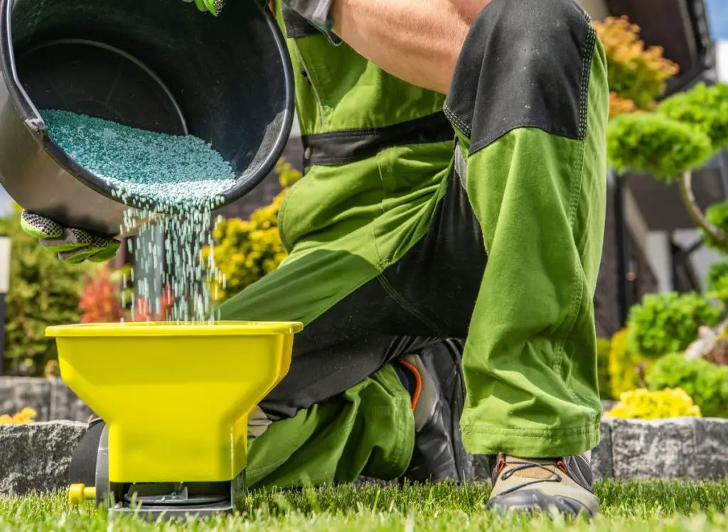 How to Effectively Dissolve Granular Fertilizer in Water