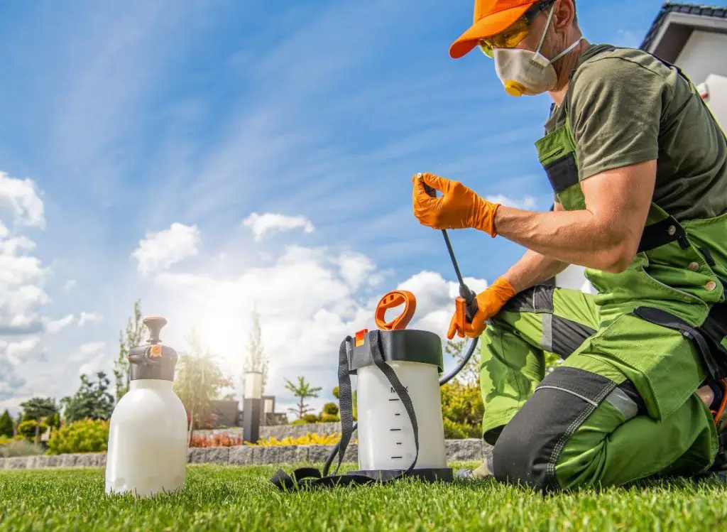 How to Make Liquid Fertilizer from Dry Fertilizer (With Steps!)