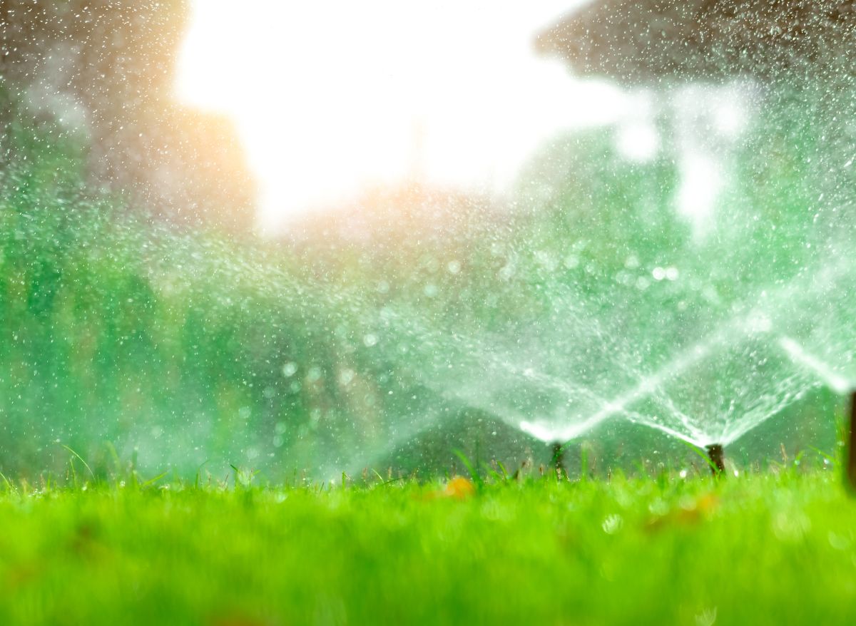 The Truth About Vinegar And Grass Can Vinegar Kill Your Lawn? Plants Heaven