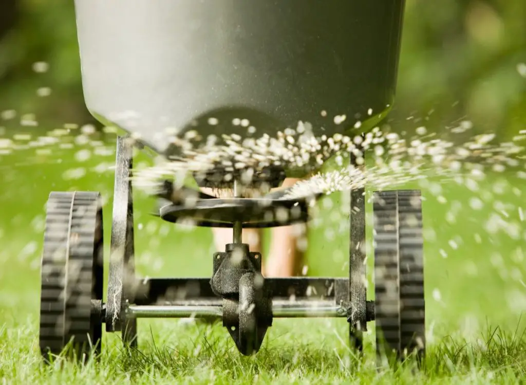 How Long Does Fertilizer Last in Grass