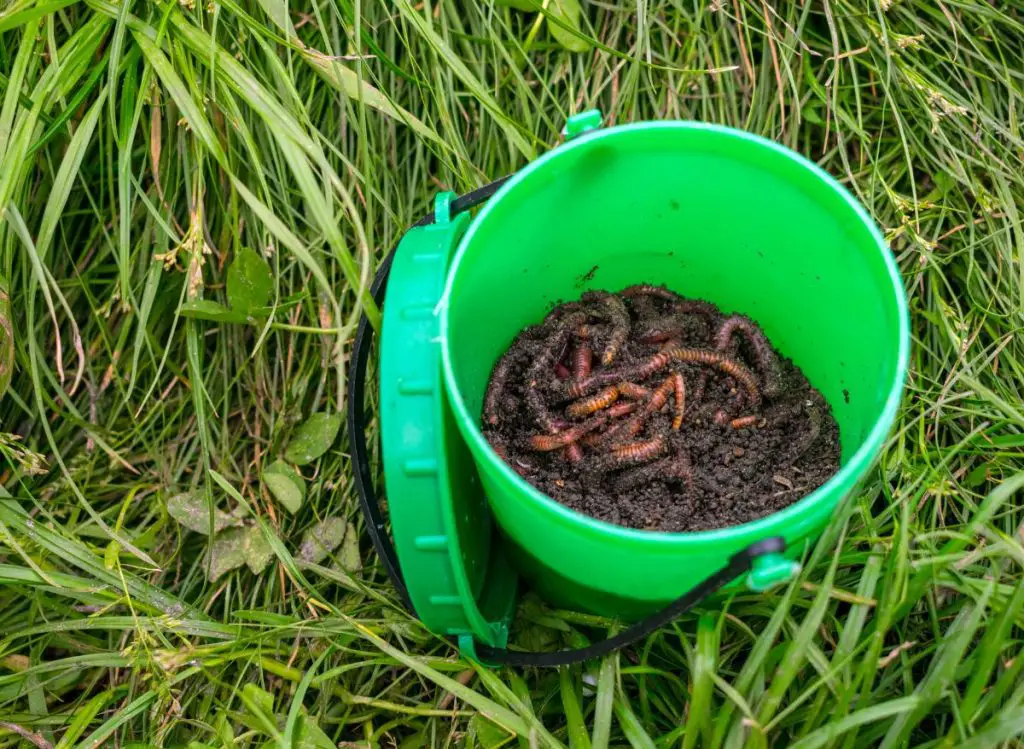 Types of Worms in Potted Plants