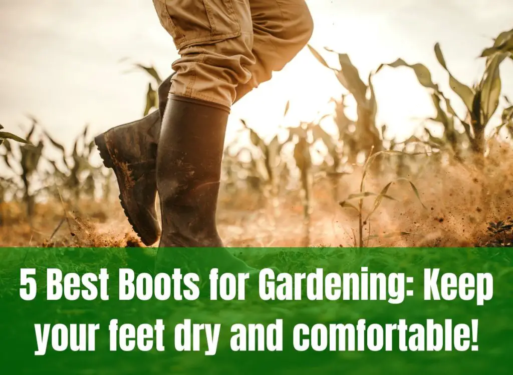 5 Best Boots For Gardening Keep Your Feet Dry And Comfortable