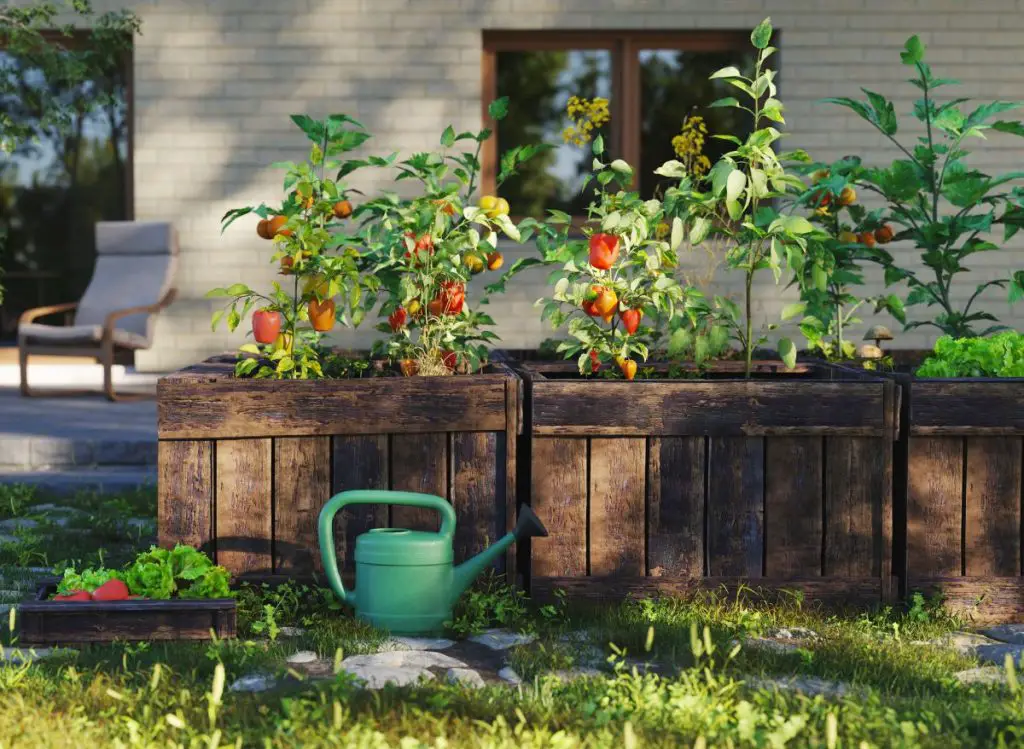 Benefits of Raised Garden Beds