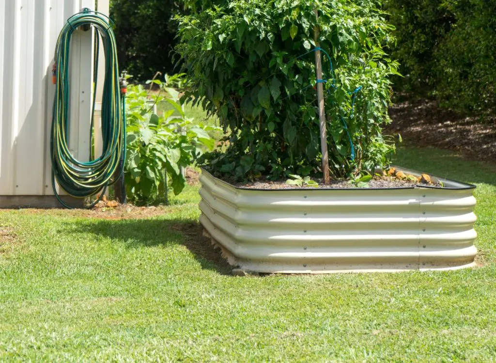 How Long Does a Metal Raised Garden Bed Typically Last