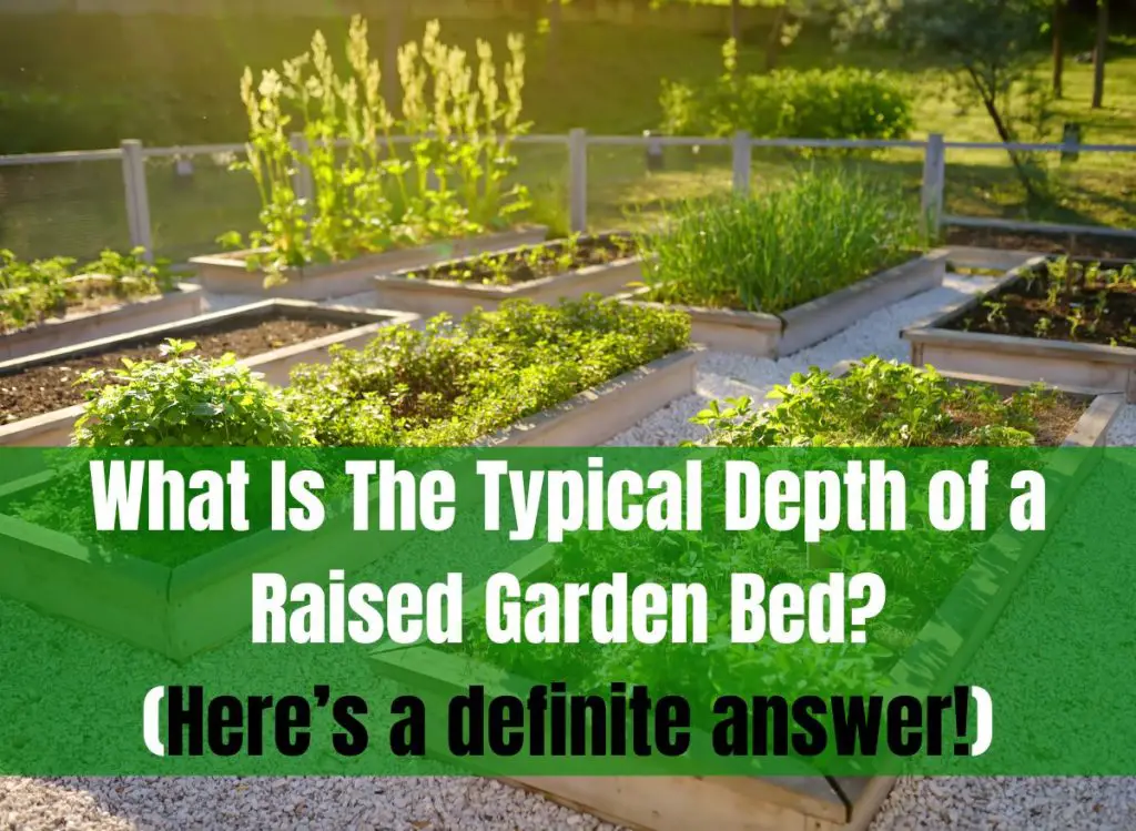 What Is The Typical Depth Of A Raised Garden Bed (Here’s A Definite