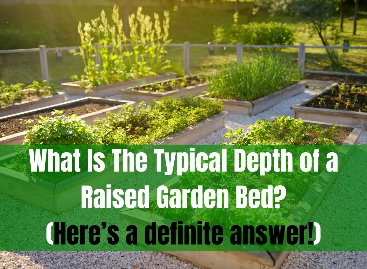 What Is The Typical Depth Of A Raised Garden Bed (Here’s A Definite ...