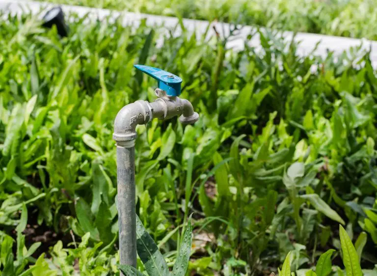 Here’s How To Winterize Outdoor Faucet Without Shut Off Valve Plants