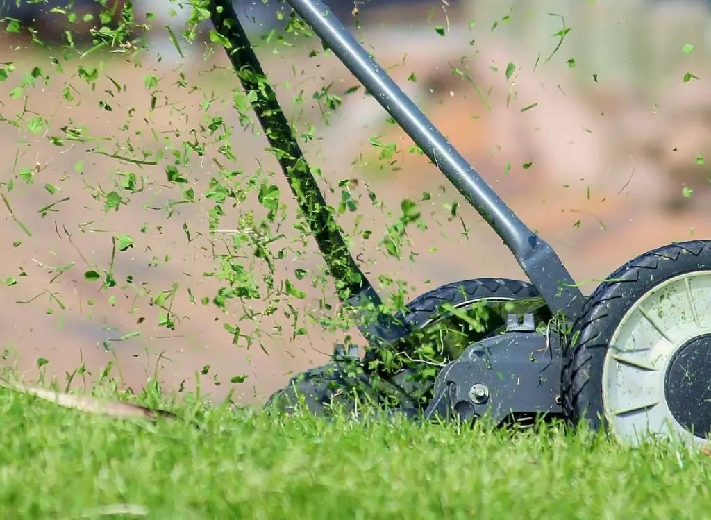 5 Best Mulching Blades (And picking the perfect one for you!)