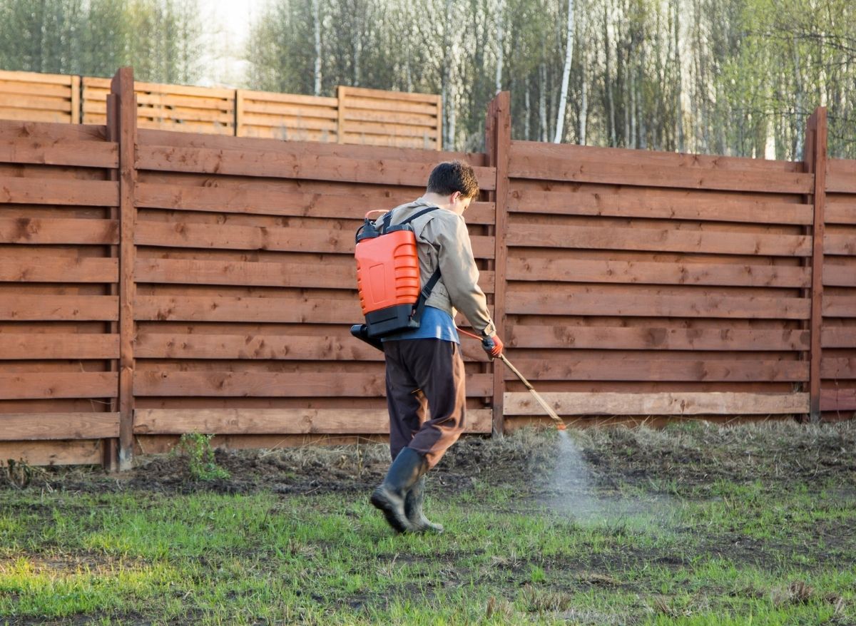 Top 6 Best Battery Powered Backpack Sprayers Plants Heaven