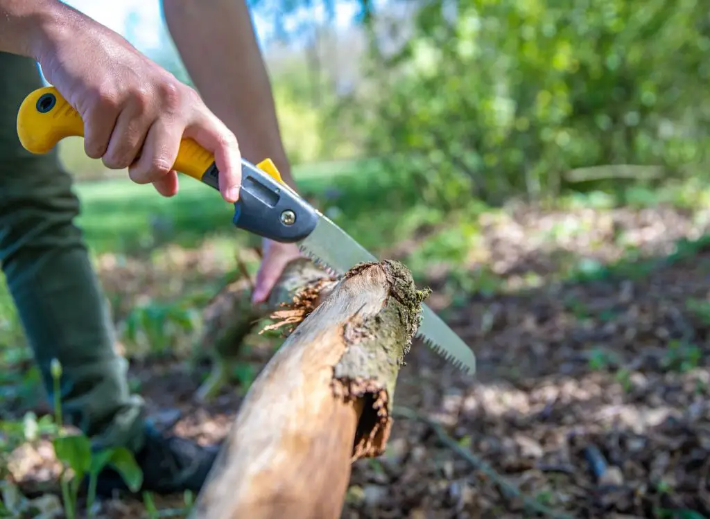 7 Best Hand Saw For Cutting Trees