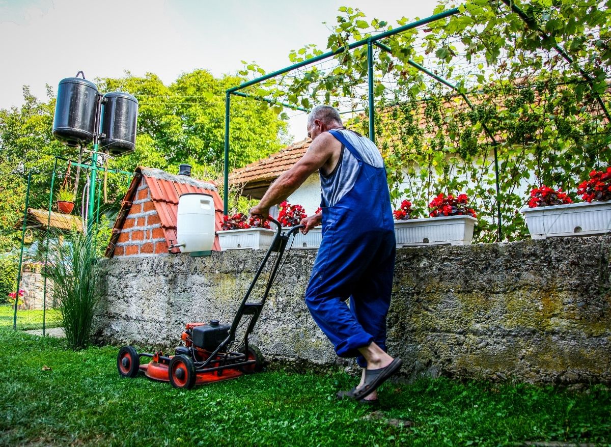 7 Best Lawn Mowers For Wet Grass Plants Heaven